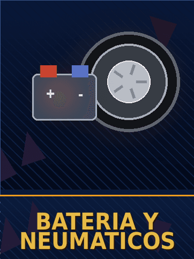 Bateria y neumaticos